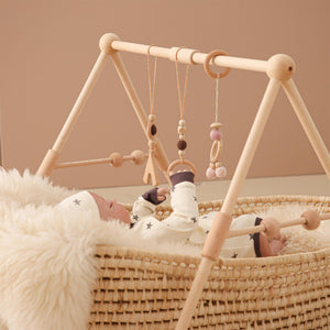 Why Every New Parent Needs the Newborn Baby Fitness Crib Rack
